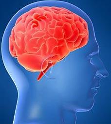 美国科学家研发脑机接口：通过大脑扫描解读思维