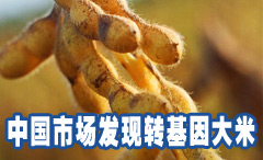 /uploads/allimg/100305/0QR63U8-0.jpg