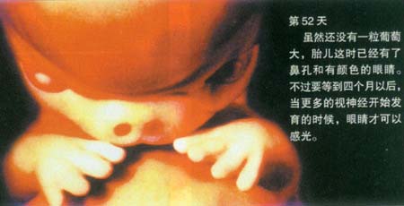 当精子遇到卵子 <wbr>生命传奇由此开始 当精子遇到卵子 <wbr>生命传奇由此开始