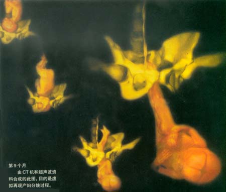 当精子遇到卵子 <wbr>生命传奇由此开始 当精子遇到卵子 <wbr>生命传奇由此开始