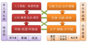 科学网神经科学的创新生态