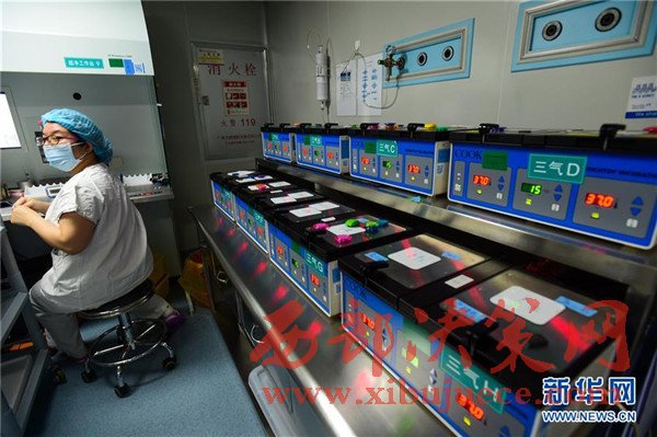 中国科学家首次将CRISPR基因编辑技术运用于人类二倍体胚胎
