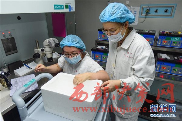 中国科学家首次将CRISPR基因编辑技术运用于人类二倍体胚胎