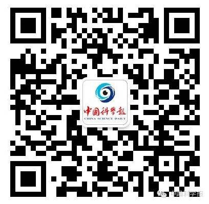 我是如何检索文献的？