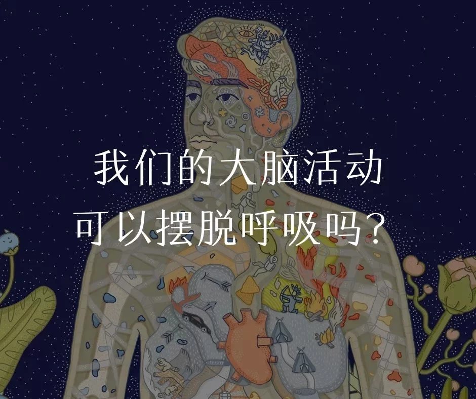 大脑缺氧，植入绿藻？