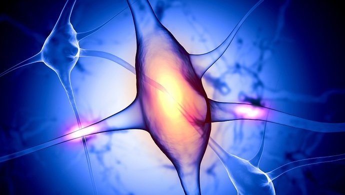 复旦科学家发现重新激活成瘾记忆的神经环路枢纽