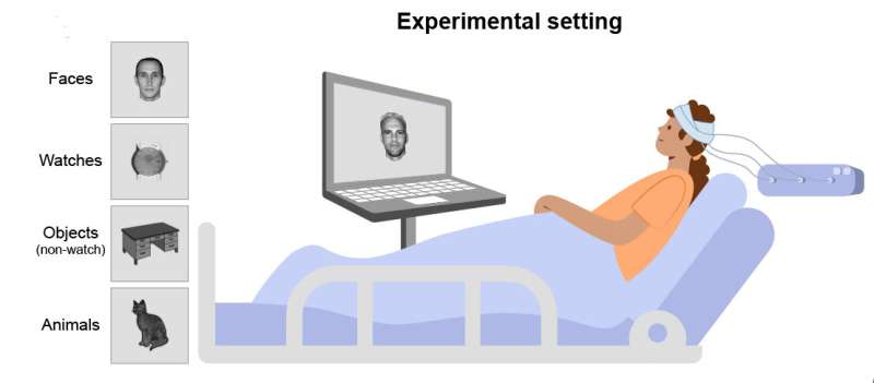 Study sheds light on where conscious experience resides in brain
