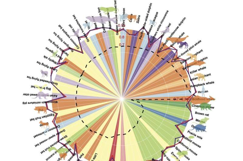Global consortium creates large-scale, cross-species database and universal 'clock' to estimate age in all mammalian tissues