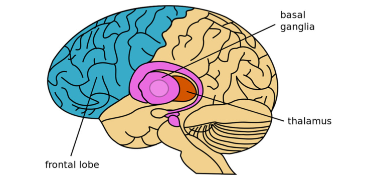 Photo credit: Wikimedia Commons