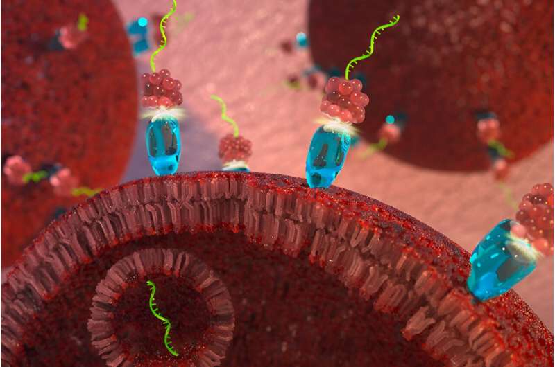 一流的靶向 microRNA 疗法可减缓癌症肿瘤的生长