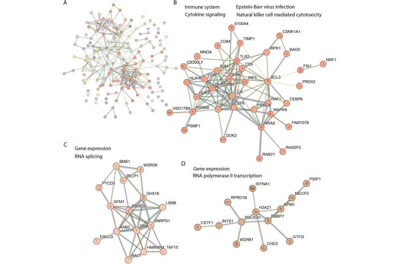 长期新冠患者中差异调节的蛋白质分为三组。图片来源:科学报告 (2023)。 DOI:10.1038/s41598-023-49402-9 长期新冠肺炎与肌痛性脑脊髓炎/慢性疲劳综合症之间存在密切联系