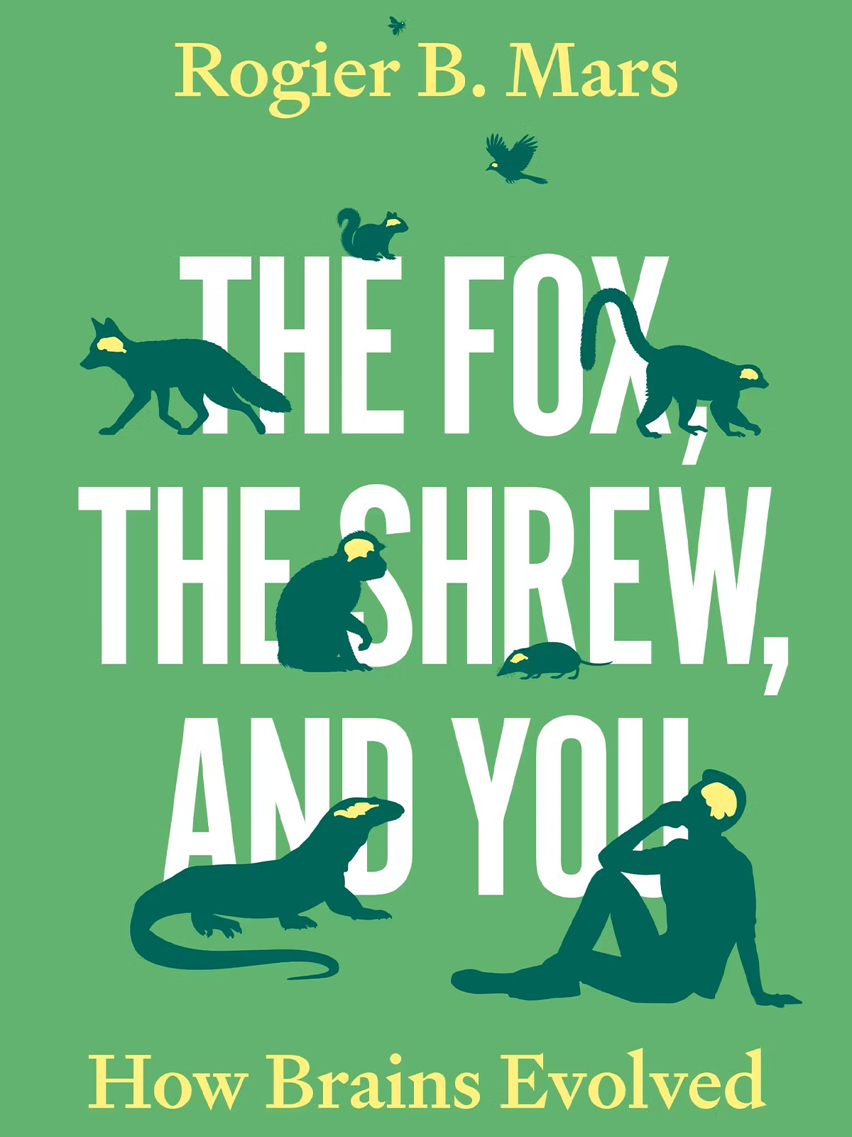 狐狸、鼩鼱与你：大脑如