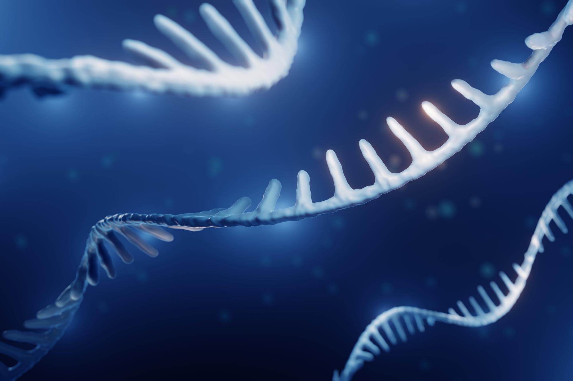 女性特有嵌合RNA:免疫与自身免疫新视角
