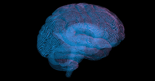 白宫“登月计划”力推连接组学，神经科学家忧基础研究受挤压