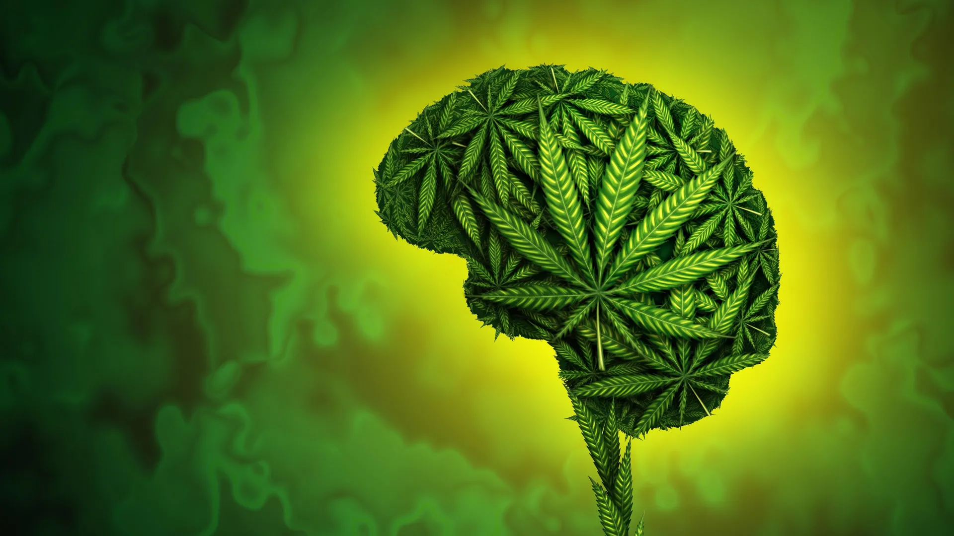 青少年大麻使用与认知发展减缓：一项长期研究揭示潜在风险