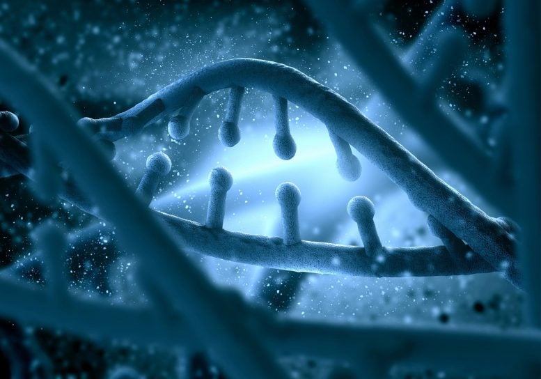 活细胞DNA折叠近分子分辨率成像:疾病诊疗新突破