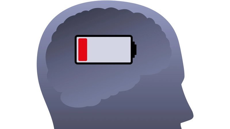 <b>梦境的代价：快速眼动睡眠期间大脑能量供应上升却为何反降？</b>