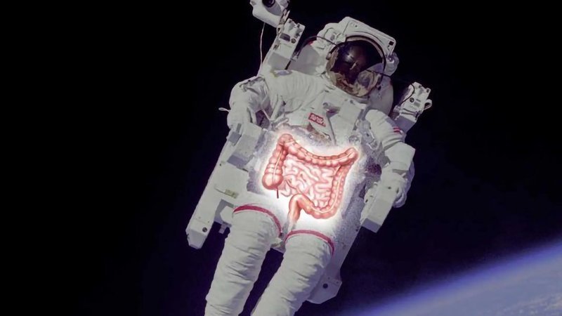<b>宇航员为何在太空便秘？哥本哈根大学携手NASA揭示肠道菌群与微重力的</b>