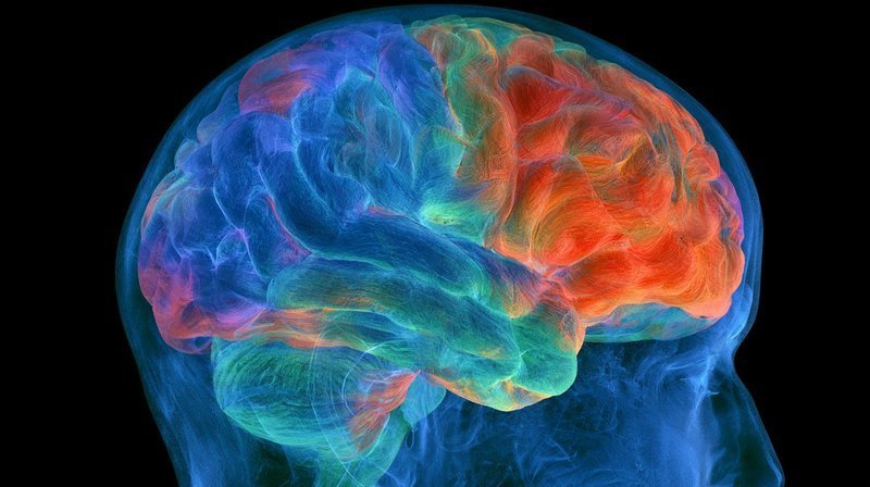 未受损脑区生物学年龄决定中风后语言功能康复