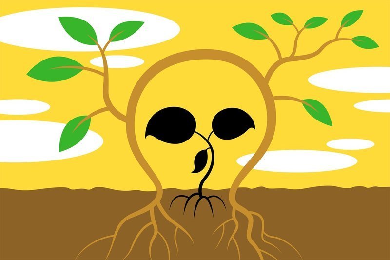 植物根系新向性：主动避