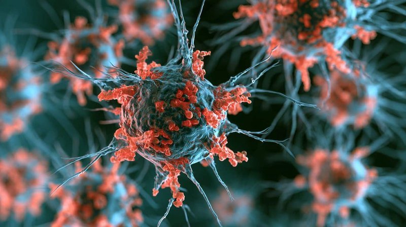 PLOS Pathogens:单纯疱疹病毒重编程小胶质细胞表观遗传,揭示阿尔茨海默病新机制