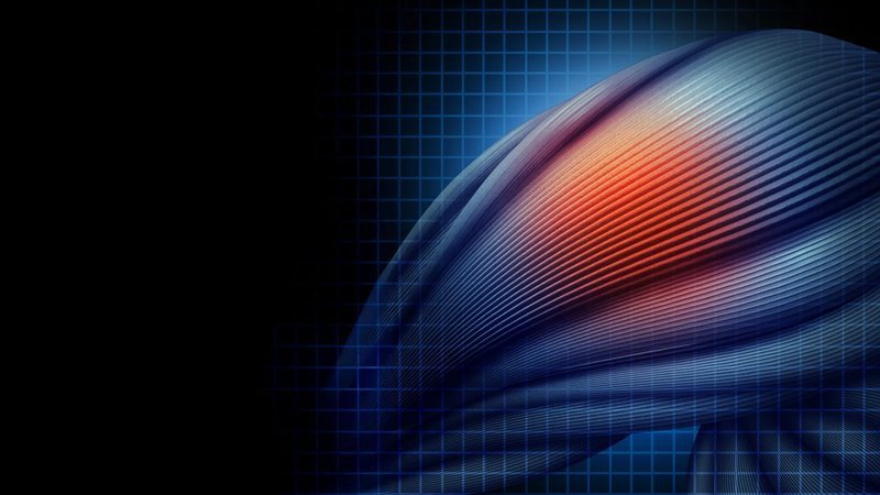 Nature子刊：科学家揭示他汀类药物诱发肌肉疼痛的分子机制