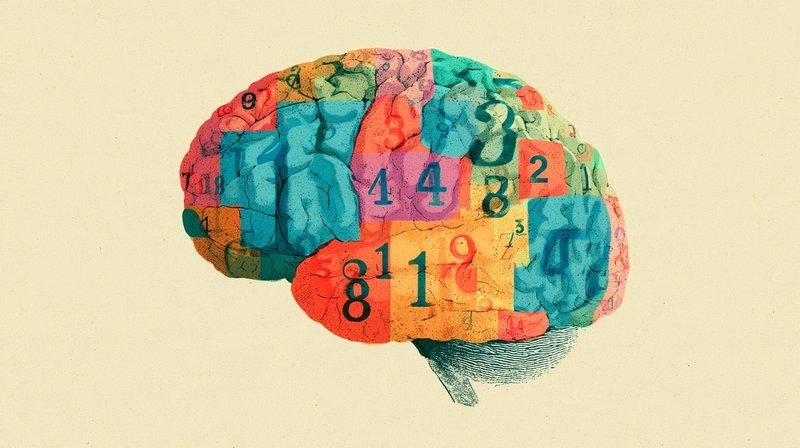 大脑如何编码数字？研究