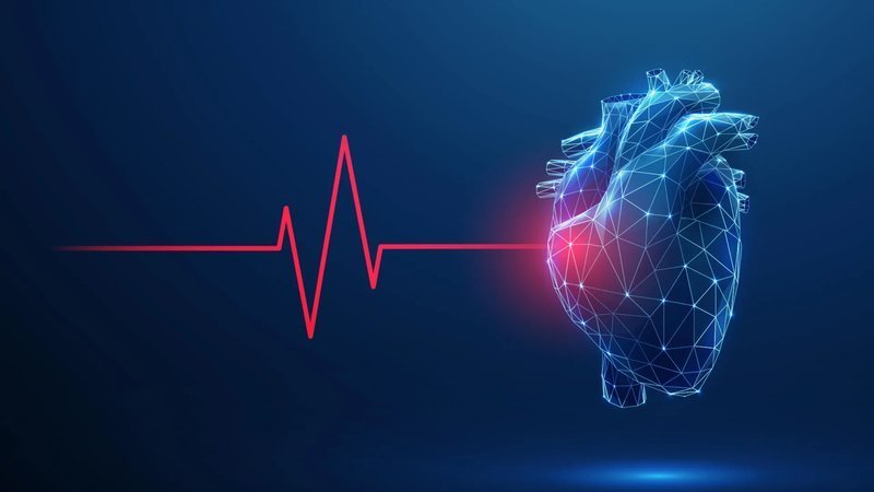 运动不仅强化心脏:布里斯托大学发现有氧运动重塑心脏神经