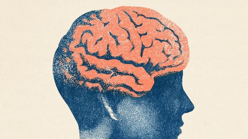 自闭症患者为何难以适应环境变化?神经科学研究揭示底层机制