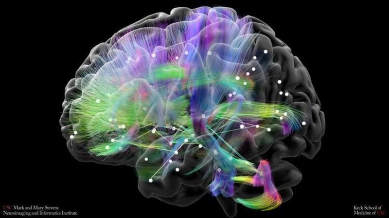 寻找大脑的情绪开关:科学家解析双相障碍中的“回溯核转换细胞”