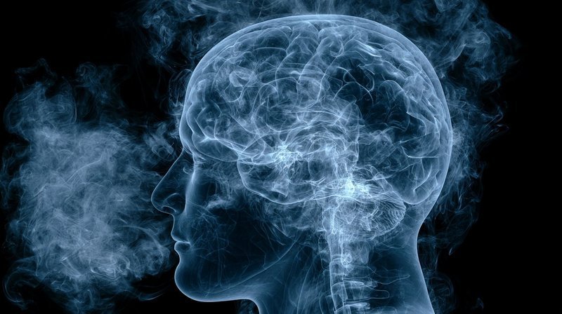 呼吸“稀薄空气”：间歇性缺氧疗法或能改善帕金森病代谢与炎症指标