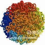 科学家阐释细胞核中DNA折叠