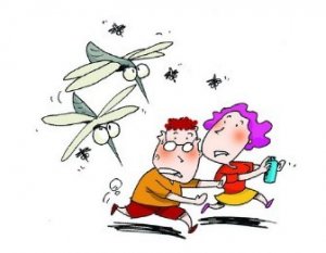 夏天被蚊子咬 实用止痒方法大全