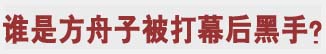 谁是方舟子被打幕后黑手？