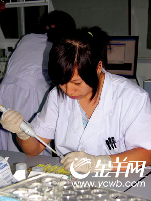 黄种人基因组图谱将诞生深圳(2)