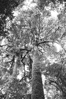 老年男性压力缓解：10种有证据支持的方法