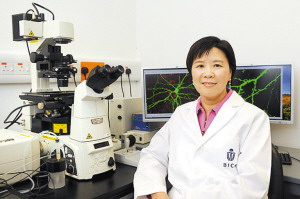 香港科技大学叶玉如：竭力揭开大脑神秘面纱