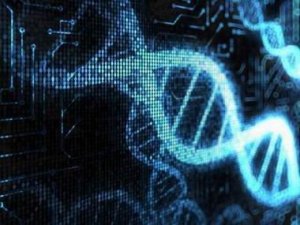Science：不活跃基因在人体DNA序列中普遍存在