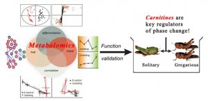 PNAS：许国旺等代谢组学研究获进展