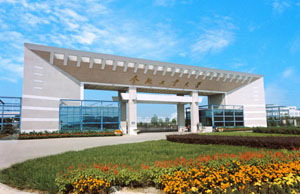 小鼠面部运动揭示认知过程：决策变量在面部“泄露”