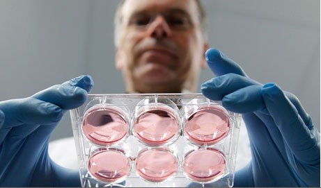 荷兰科学家25万欧元研制人造肉饼
