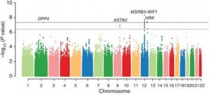 Nat Genet：研究人员发现影响海马体积的相关基因