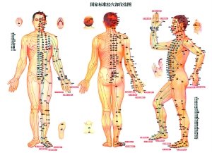 生物物理所祝总骧教授证实人体经络线