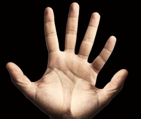 <b>科学家称人类若有六根手指便会采用十二进制</b>