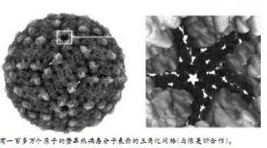 卢本卓的计算结构生物学之路
