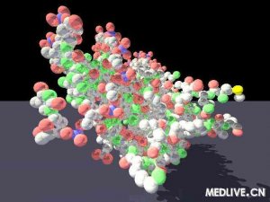 Nature:德国发现一种可提高记忆力蛋白质