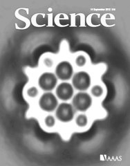 9月14日《科学》杂志内容精选