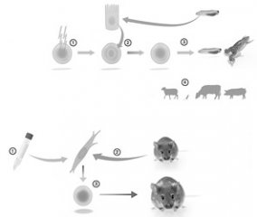 逆转生命，一个走出质疑的故事