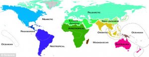 地球生物多样性图谱百余年来首次更新