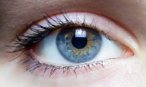 新研究表明未来或可使用生物膜修复人类视力